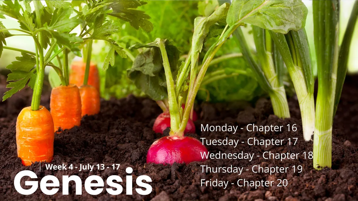 Genesis Week 4 at Holly Calvary Church in Holly, MI