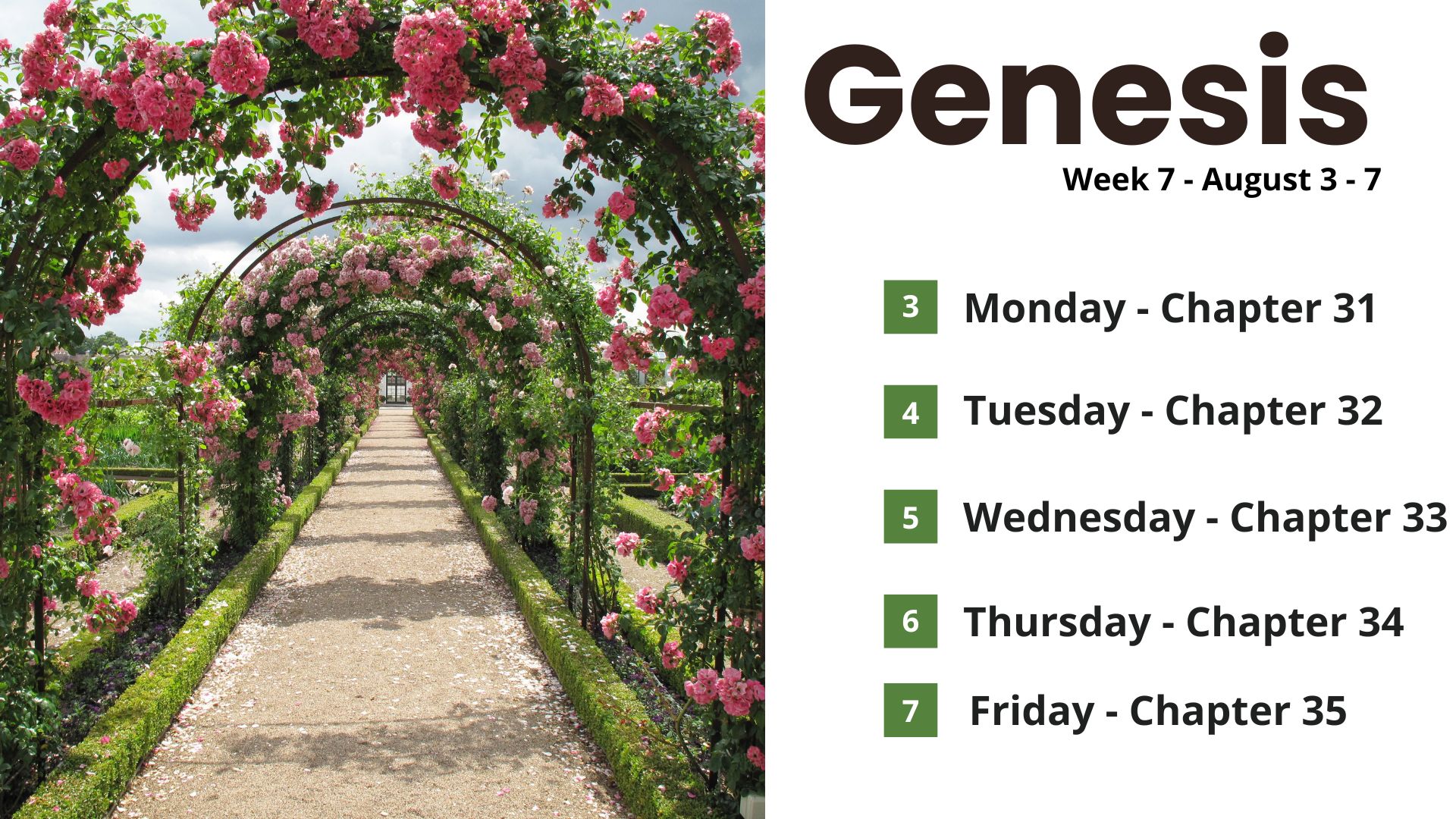 Genesis W7 at Holly Calvary Church in Holly, MI
