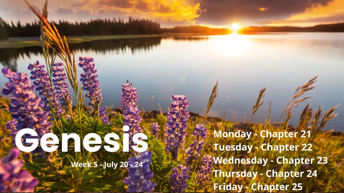 Genesis Week 5 at Holly Calvary Church in Holly, MI
